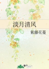 《淡月清风》