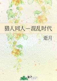 《猎人同人-混乱时代》