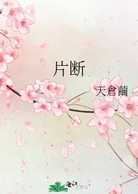 《片断》