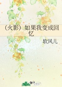 《(火影)如果我变成回忆》