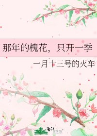 《那年的槐花,只开一季》
