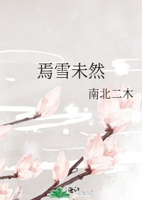 《焉雪未然》