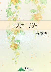 《映月飞霜》