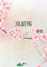 《岚韶殇》