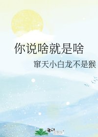 《你说啥就是啥》