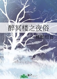 《醉冥楼之夜俗》