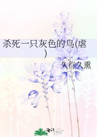 《杀死一只灰色的鸟(虐)》