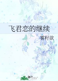 《飞君恋的继续》