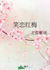 笑恋红梅