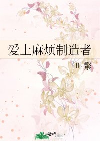 《爱上麻烦制造者》