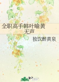 《全职高手韩叶喻黄 无声》