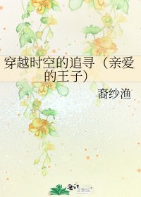 《穿越时空的追寻(亲爱的王子)》