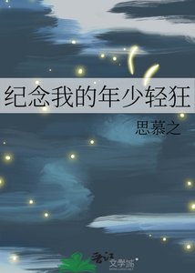 《纪念我的年少轻狂》