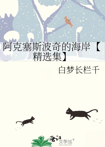 《阿克塞斯波奇的海岸【精选集】》