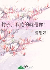 《竹子,我吃的就是你!》