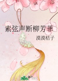《素弦声断柳芳菲》