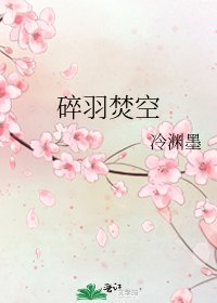 《碎羽焚空》