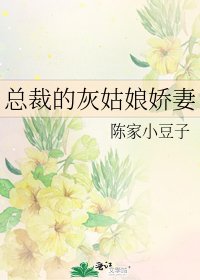 总裁的灰姑娘娇妻