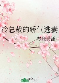 《冷总裁的娇气逃妻》