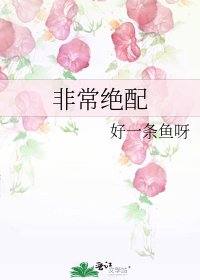 《非常绝配》