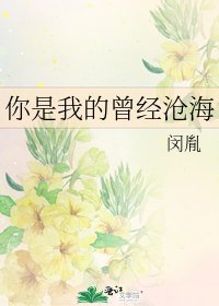 《你是我的曾经沧海》