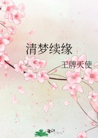 《清梦续缘》