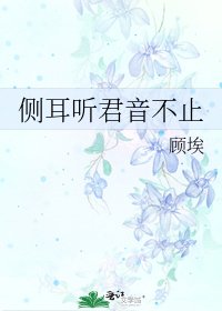 《侧耳听君音不止》
