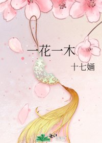 《一花一木》