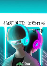 《晓听风雨》
