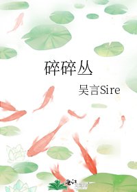《碎碎丛》
