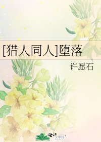[猎人同人]堕落