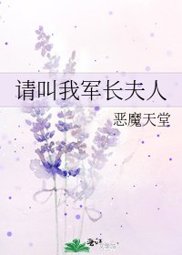 《请叫我军长夫人》