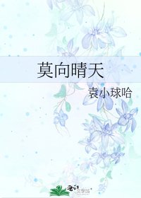 《莫向晴天》