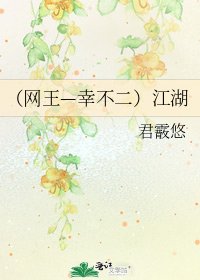 《(网王—幸不二)江湖》