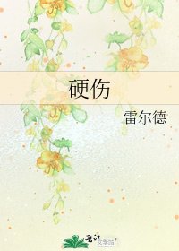 《硬伤》