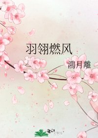 《羽翎燃风》