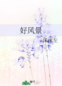 好风景