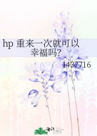 《hp 重来一次就可以幸福吗?》