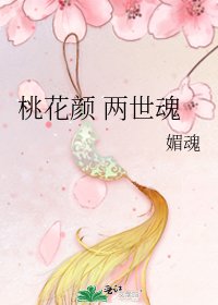 《桃花颜 两世魂》