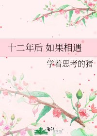 《十二年后 如果相遇》