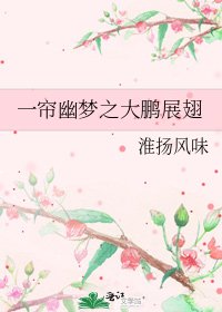 一帘幽梦之大鹏展翅