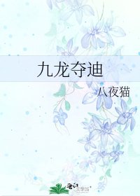 《九龙夺迪》