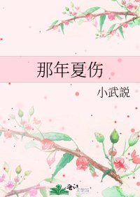 《那年夏伤》