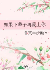 《如果下辈子再爱上你》