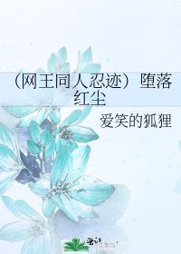 （网王同人忍迹）堕落红尘