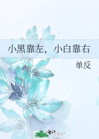 小黑靠左，小白靠右