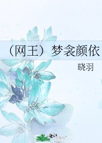 《(网王)梦衾颜依》