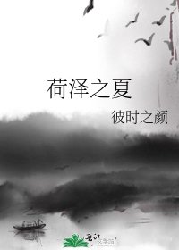 《荷泽之夏》