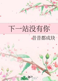 《下一站没有你》