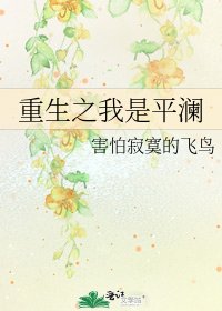 《重生之我是平澜》